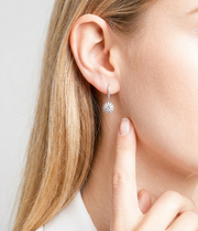 Qingcheng - A Fashionable And Luxurious Diamond Jewelry Accessory Set With Half-carat Moissan Diamond S925 Sterling Silver And Platinum-plated Stud Earrings